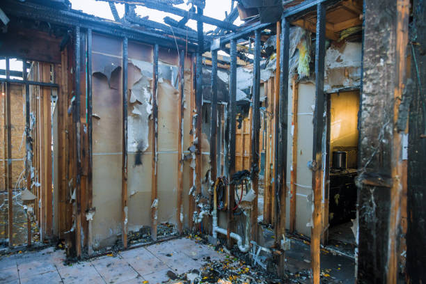 Professional Fire Damage Removal technician working in Pine City, MN