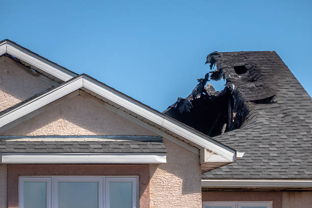 Top rated local Fire Damage Removal specialists in Pine City, MN